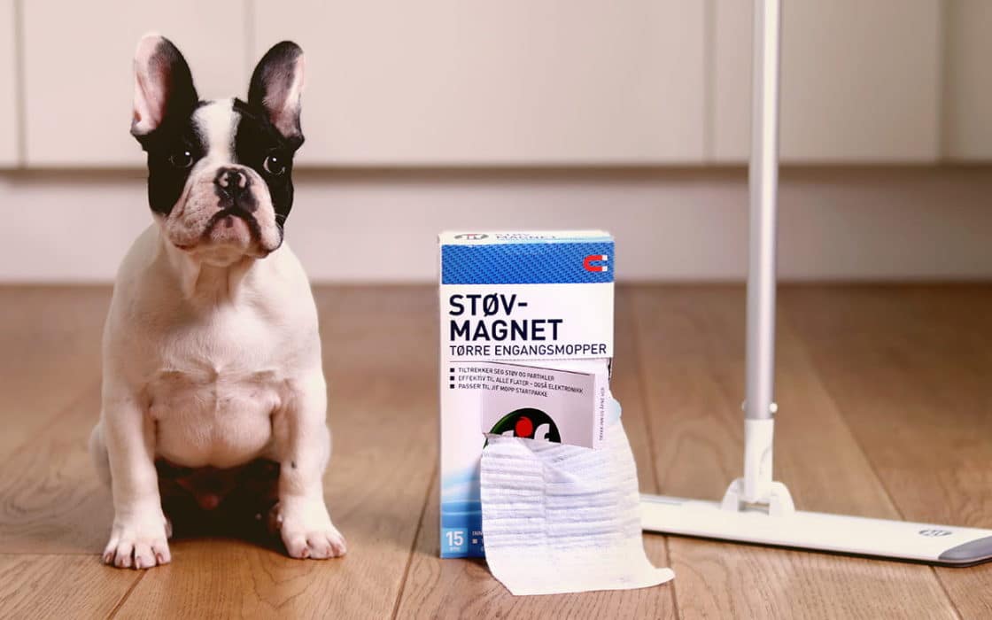 Tørke støv, igjen? Få gode tips | Vasketips | Jif
